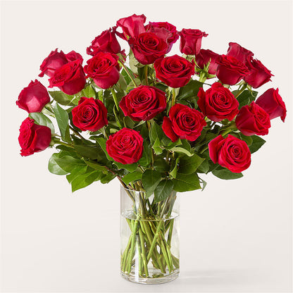 The One Red Rose Bouquet – THE FLOWER PATCH & GIFT SHOPPE, Lehighton PA