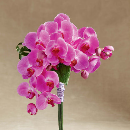Glorious Bouquet – THE FLOWER PATCH & GIFT SHOPPE, Lehighton PA