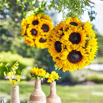 Sublime Garden Hanging Arrangement – THE FLOWER PATCH & GIFT SHOPPE, Lehighton PA