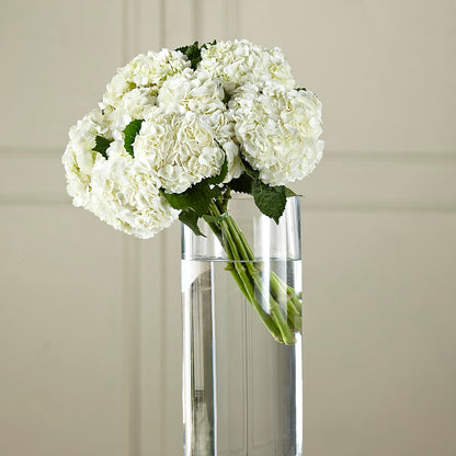 White Hydrangea Hand-Tied Bouquet – THE FLOWER PATCH & GIFT SHOPPE, Lehighton PA