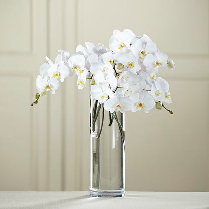 White Phalaenopsis Bouquet – THE FLOWER PATCH & GIFT SHOPPE, Lehighton PA