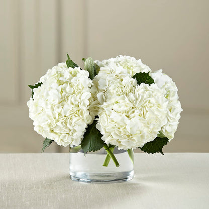 White Hydrangea Bouquet – THE FLOWER PATCH & GIFT SHOPPE, Lehighton PA